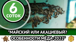 Майский или акациевый? Особенности мёда-2022. 6 соток 27.06.2022