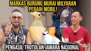 GA MASUK AKAL!! MARKAS BURUNG MURAI MILYARAN PERAIH MOBIL!  PENGASIL TROTOLAN JAWARA NASIONAL!!