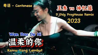 王杰 vs 林忆莲 - 温柔的你 - Wen Rou De Ni - (DjDdg ProgHouse Remix 2023 粤语) - Cantonese #dj抖音版2023