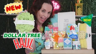 Dollar Tree Haul: Incredible Brand Name Finds