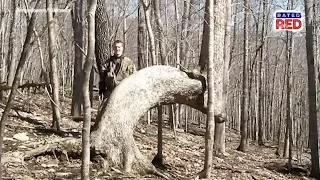 Strange Heartland History: Are Bent Trees Really Native American Trail Markers?