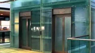 Lift And Escalator Services Ltd