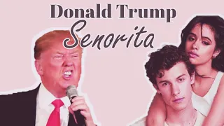 Señorita - Shawn Mendes feat. Camila Cabello cover. Donald Trump