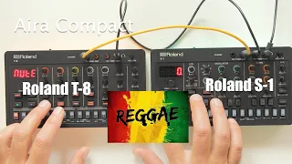 Roland S1 and Roland T8 - Reggae Jam Performance