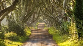 Instrumental Celtic Music, Traditional Irish Music "Celtic Heart" By Tim Janis with Máiréad Nesbitt