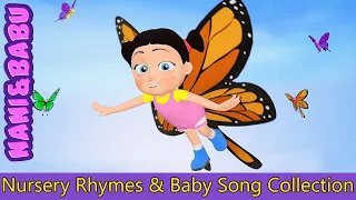 Butterfly Oh Butterfly | Nursery Rhymes and Baby Songs Collection