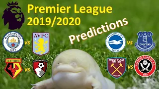 Premier League | Premier League predictions | fpl  2019/20 Gameweek 10 | Guessing Frog predictions