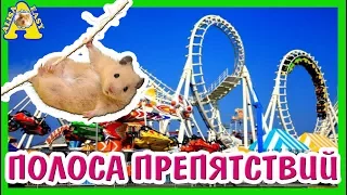 ПОЛОСА ПРЕПЯТСТВИЙ ДЛЯ ХОМЯКА  🔝 ЛАБИРИНТ БУДЕТ ПОТОМ 🎮 КАК ИГРОВАЯ КОМНАТА ДЛЯ ХОМЯКА / АЛИСА ИЗИ