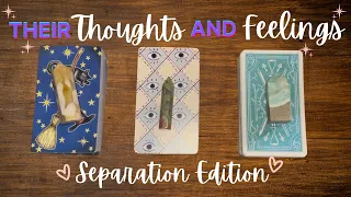 Their Thoughts And Feelings About You & Your Separation 🤔💭💞 Timeless & In-Depth Tarot Reading