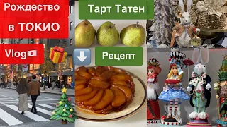 Рождество в Токио 🇯🇵 Vlog JAPAN 🎄 Декор 🎂 Готовлю десерты с грушей🍐  Японские БАДы для молодости✨