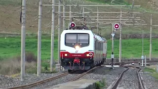 FRECCIABIANCA IN PROV. DI ENNA E NON SOLO | FRECCIABIANCA SICILIA