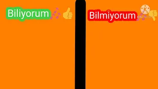 Biliyorum Bilmiyorum (Türkçe Şarkılar)