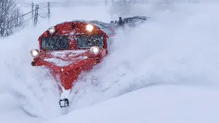 爆雪！宗谷線ラッセル　2023/01/09