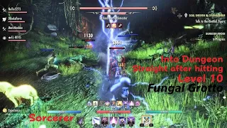 ESO | Fungal Grotto Sorcerer Gameplay | Right after Unlocking Dungeons