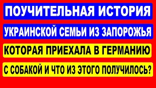 Поучительная история украинской семьи, которая приехала в Германию с собакой.