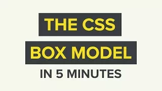 The CSS Box Model Explained in 5 Minutes!