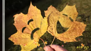 ANTONIO VIVALDI Autumn