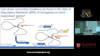 Regulatory variation in breast cancer - Mathieu Lupien