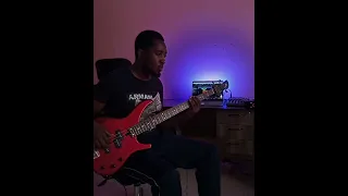 See What The Lord Has Done by Nathaniel Bassey | Bass Cover