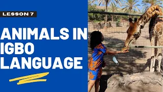 Igbo lesson 7 - Names of animals in #igbo language for beginners | #Fuerteventura Oasis Wildlife