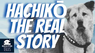 Hachi  a dog's tale , the real story