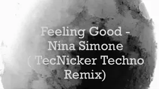 Feeling Good - Nina Simone  ( TecNicker Techno Remix )