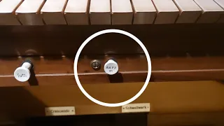 Das Pianopedal - Orgel | Schalmei 4'