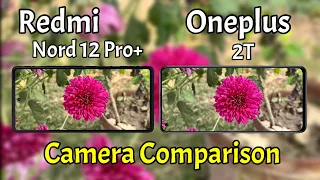 Redmi Note 12 Pro Plus VS Oneplus Nord 2T Camera Comparison