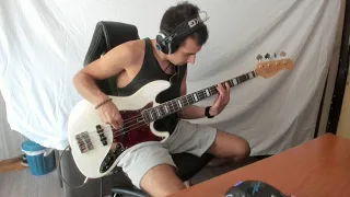 Red Hot Chili Peppers  - These Are The Ways (Bass Cover)