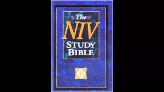 The Gospel of Luke (NIV Audio Bible Non Dramatized)