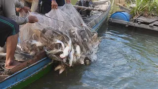 Fishing on the Mekong River - 3 fishing nets the boat is full of fish