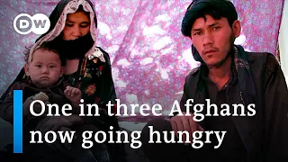 Afghanistan faces major humanitarian crisis says UN | DW News