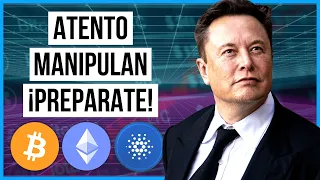 ✅ CARDANO A LA LUNA 2023!! 😱 Noticias Criptomonedas HOY Cardano  Bitcoin  Ethereum  XRP  Solana