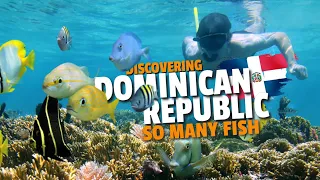 Exploring Underwater Wonders: Adventure Snorkeling in the Dominican Republic | Vancity Adventure