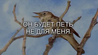 ● Не Для Меня ~ Казачья народная песня ~  текст / lyrics