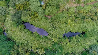 How a cooperative conserved rainwater to grow a forest in a drought-prone Dharmapuri of Tamil Nadu