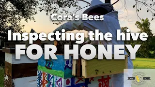 Cora inspects the hive for Honey | Beekeeping for Beginners and Kids (Beekeeping 101)