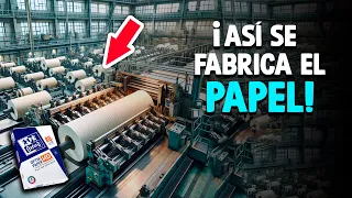 ¿Cómo Se Fabrica El Papel? [Proceso En Fábrica]