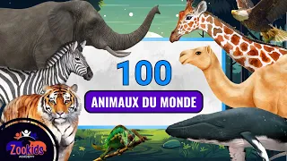 Collection de 100 Animaux du monde | Apprendre les noms et regarder les vidéos des animaux #1