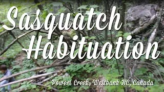 Sasquatch, Bigfoot habituation. Area of Sasquatch encounter.