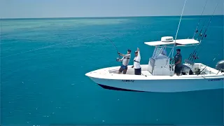 BEST GIANT TREVALLY DRONE footage you'll ever watch