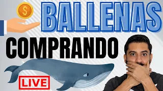 🛑EN VIVO: Bitcoin y Ballenas CONFIRMANDO subida | Andy on Trade explica