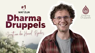 Boeddha Dharma | Joost van den Heuvel Rijnders | Dharma Druppels #1