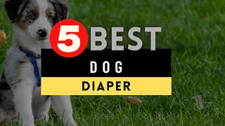 Best Dog Diaper 2021 🔶 Top 5 Best Diaper for Dogs Reviews