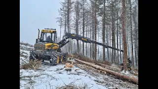 🌲Ponsse Ergo & SNOW • Ponsse logging • HarvesterAction • Forestmachine • Alterauge • big trees🌲