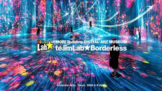 teamLab Borderless Digest Video