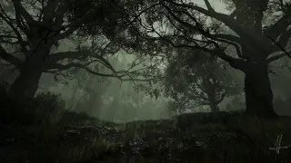 Dark Souls - Firelink Shrine Theme + Rain