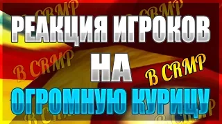 РЕАКЦИЯ ИГРОКОВ НА ОГРОМНУЮ КУРИЦУ В CRMP!!