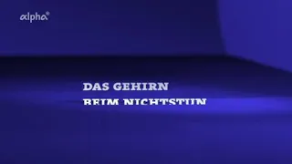 Manfred Spitzer - Geist & Gehirn - Das Gehirn beim Nichtstun 12.06