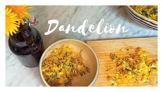 3 ways to use dandelion // recipe // Honey . Capers . Cookies